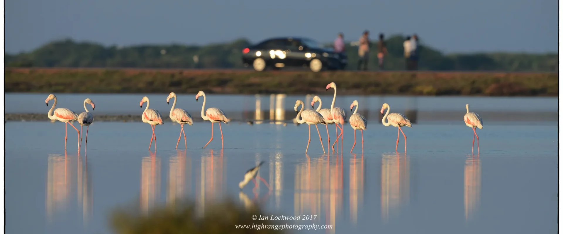 Mannar Bird Sanctuary