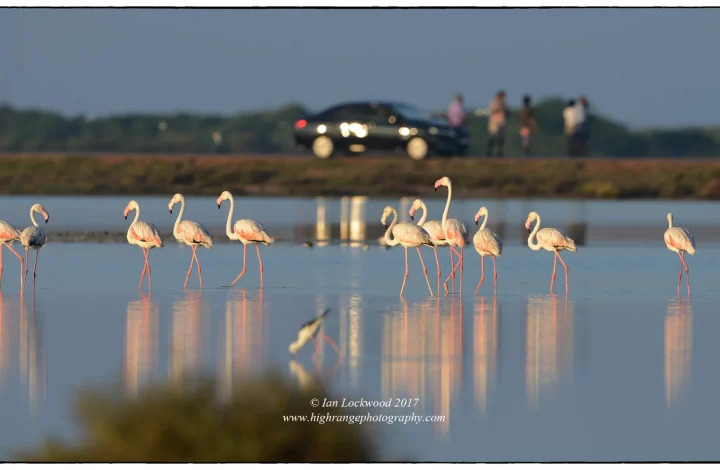 Mannar Bird Sanctuary