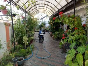 Victorys Luxury Homes Mannar